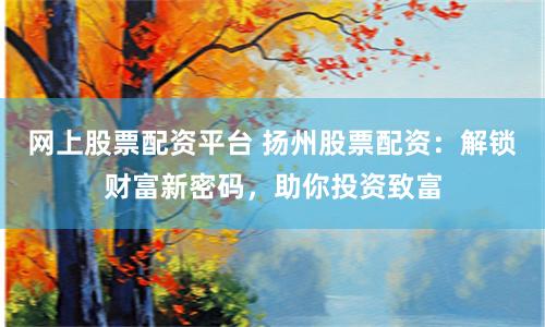 网上股票配资平台 扬州股票配资：解锁财富新密码，助你投资致富